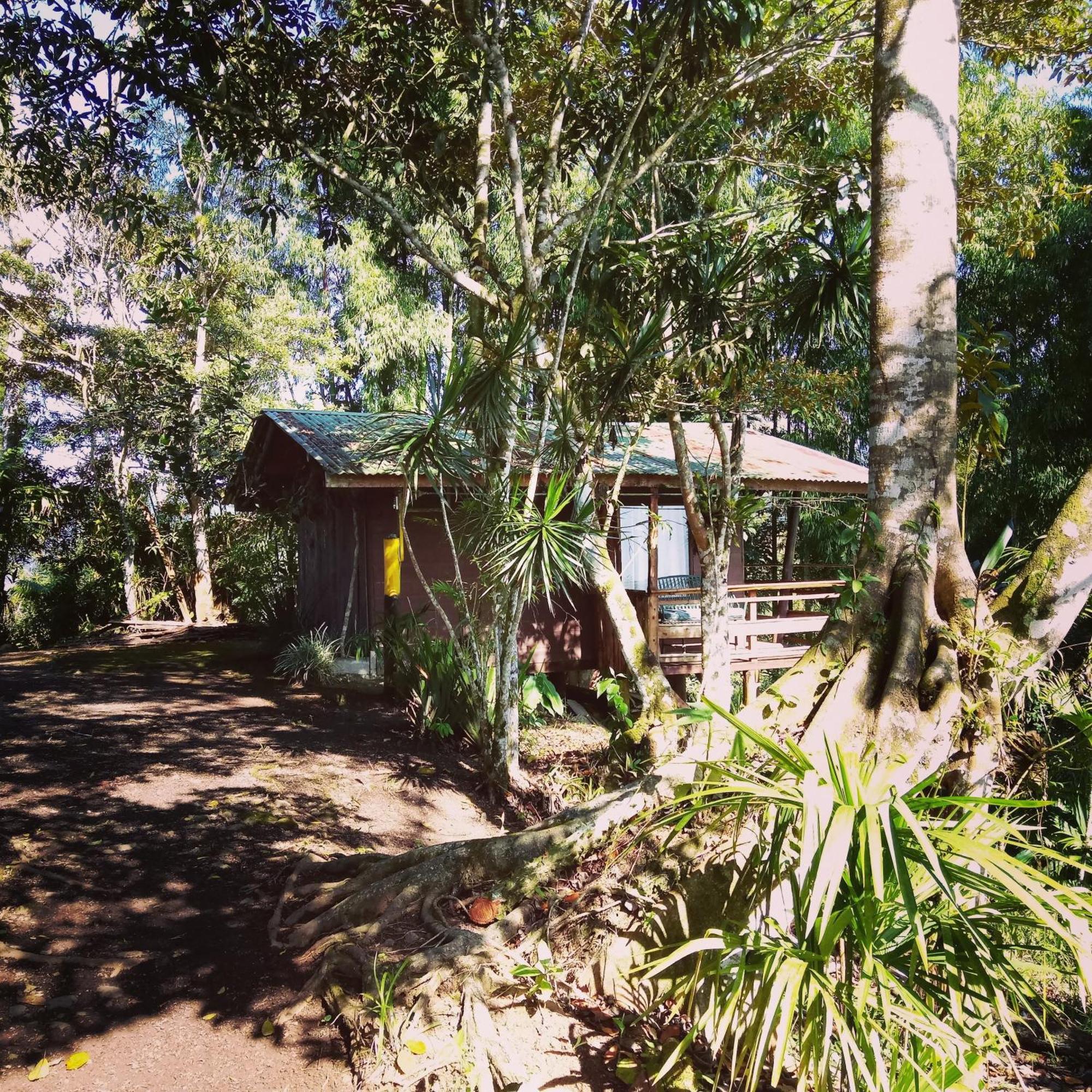 Pochotel Turrialba Zimmer foto