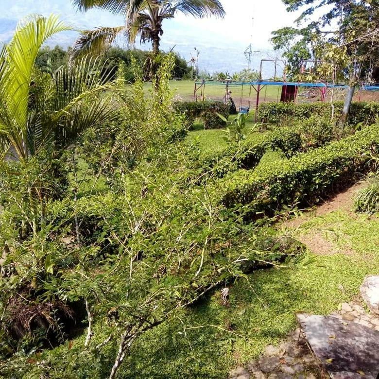 Pochotel Turrialba Exterior foto